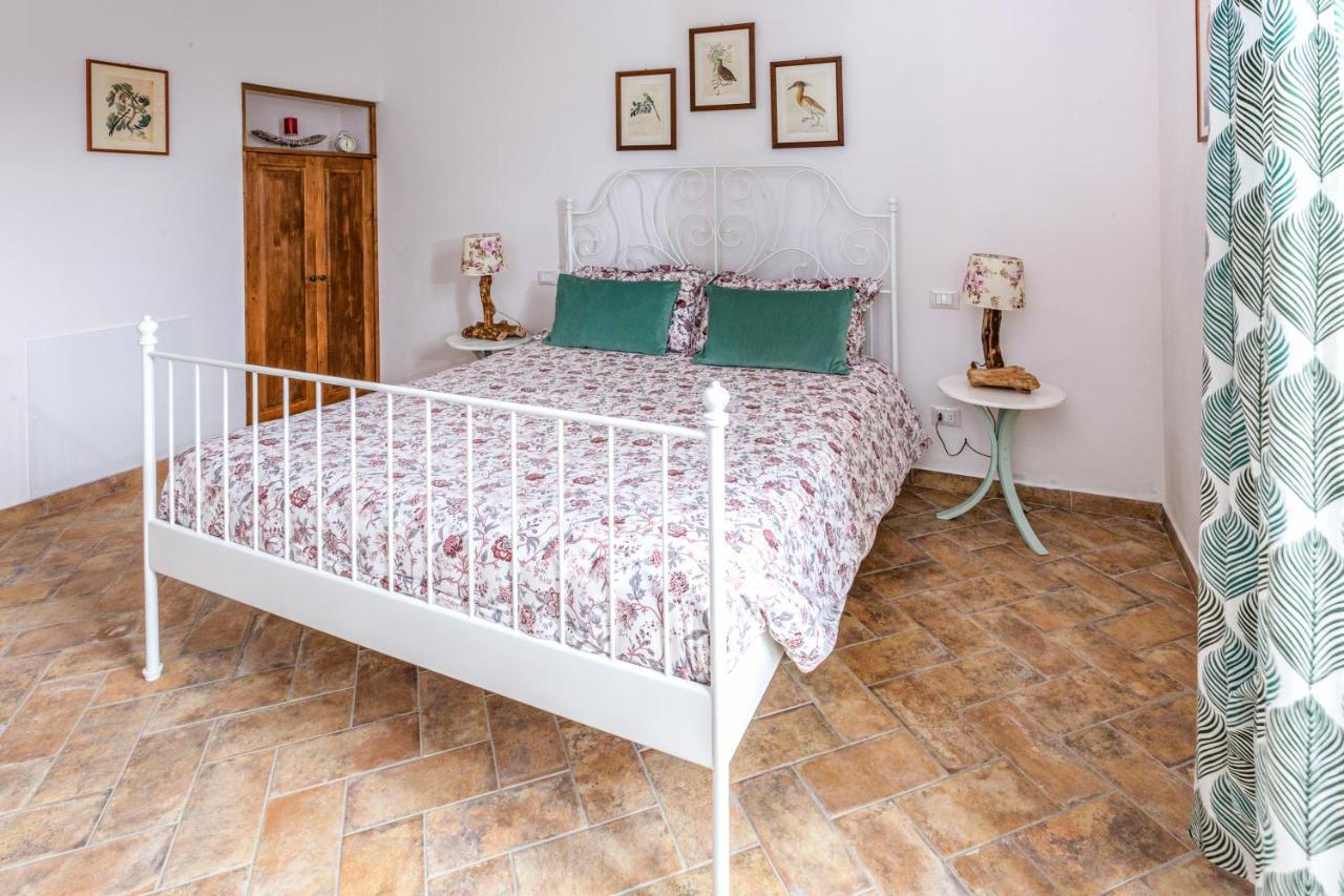 Podere Vecchia Commenda Massa Marittima Zewnętrze zdjęcie