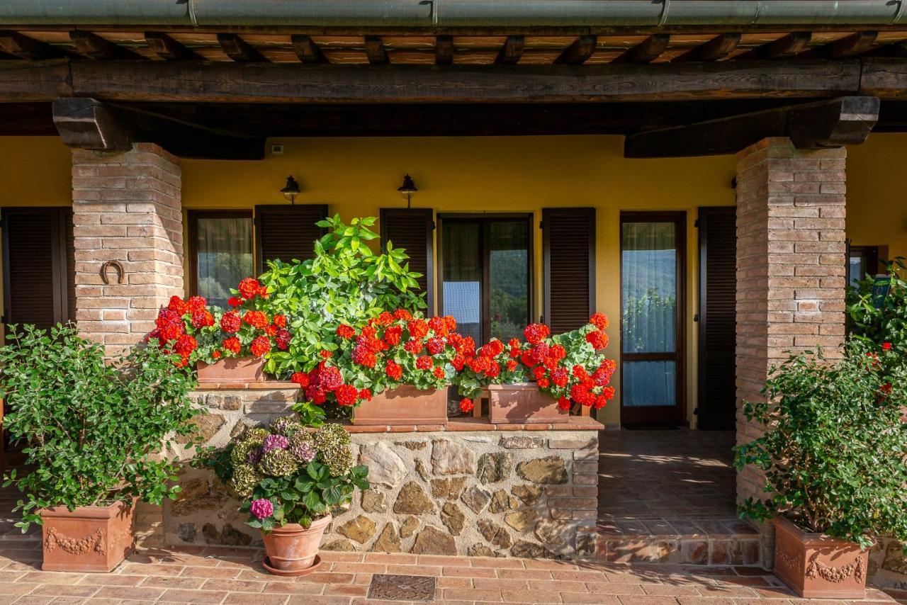 Podere Vecchia Commenda Massa Marittima Zewnętrze zdjęcie