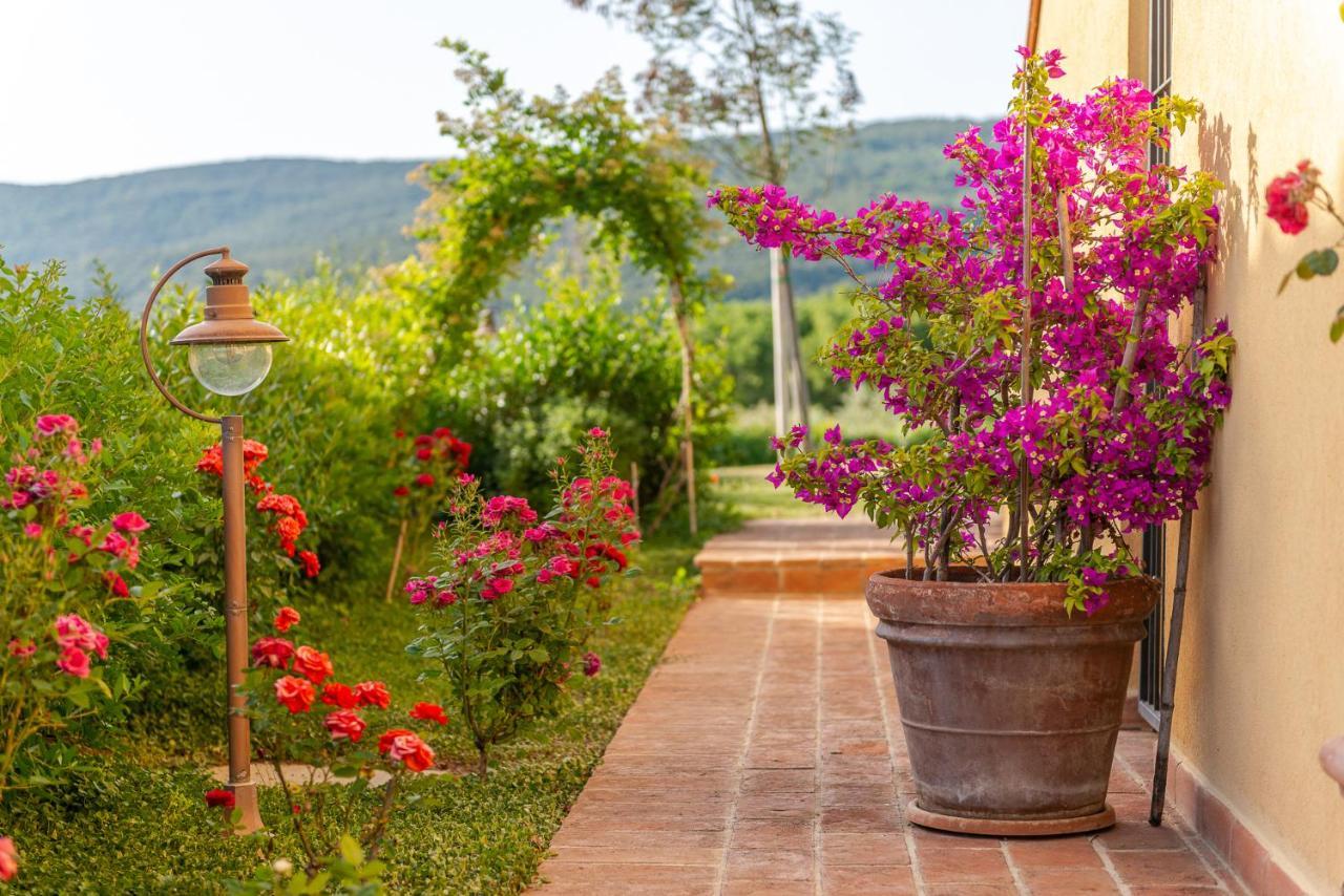 Podere Vecchia Commenda Massa Marittima Zewnętrze zdjęcie
